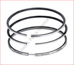 SEGMAN 1.00 MEGANE I R19 K7M 79.50 MM