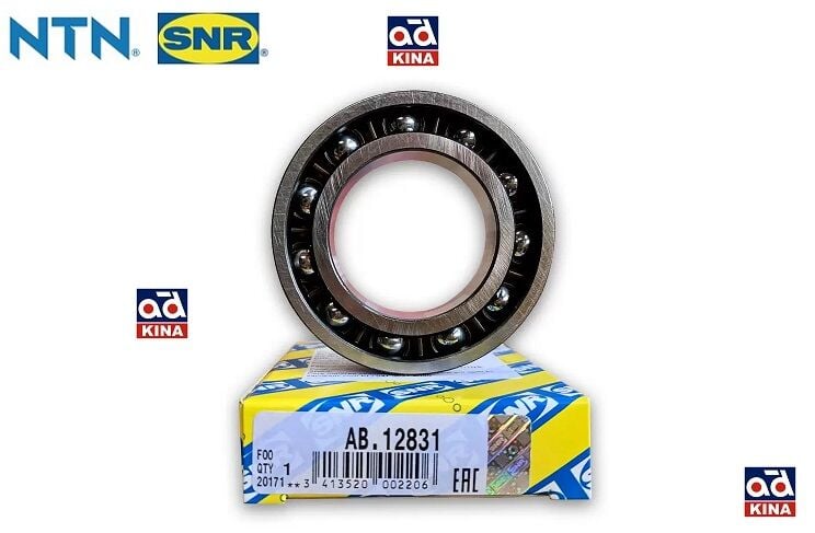 R9 Defransiyel Küçük Bilyası AB12831 7703090436 7703090316 Snr