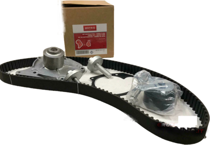 EKSANTRIK RULMAN KITI+DEVIRDAIM CLIO-KANGOO-MEGANE 1.5DCI K9K