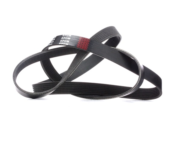 Laguna 3 Latitude Alternatör  Kayışı 7Pk1705 2.0 Dci M9R 2007 2015 119200054R 119202462R